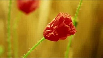 Neeye nirantharam à®¨à¯€à®¯à¯†