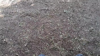 Paja Debajo De Un Arbol thumbnail