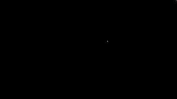 Weishaupt camp pinewood 2 #1