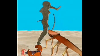 The bitch that hides