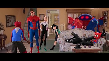 Vídeo de verificação