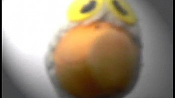 Este es un documental sobre la vida de benito camelo high