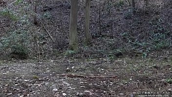 Paraphilia Sexual Perversion thumbnail