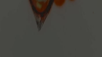 Mai Bailey Bends Over At The Gloryhole thumbnail