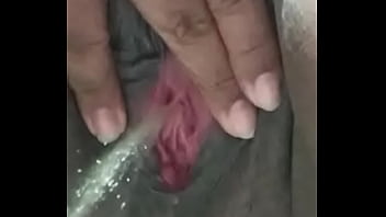 Para os amantes de chuva dourada peing