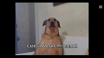 Suscribanse thumbnail