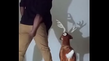 Similar colors to creamy peanut butter 2