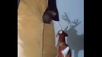 Similar colors to creamy peanut butter 2