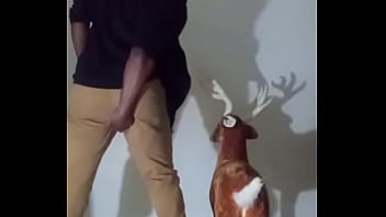 Similar colors to creamy peanut butter 2