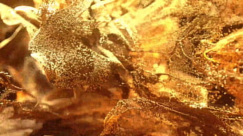 Sexy rosario antoline 2 on 1 anal bbc fucking tight ass