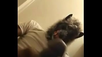 Halloween dick treat