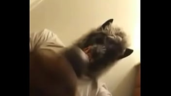 Halloween dick treat