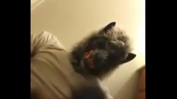 Halloween dick treat