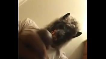 Halloween dick treat