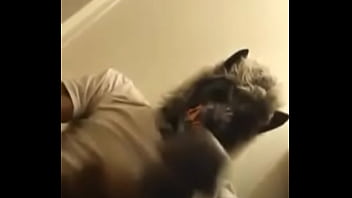 Halloween dick treat