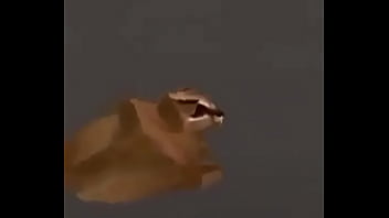 Video con título random