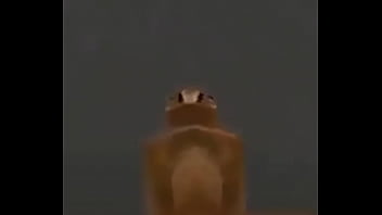 Video con título random