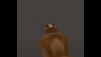 Video con título random