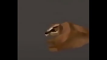 Video con título random