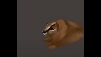 Video con título random