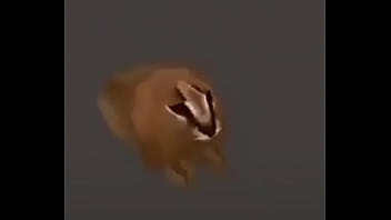 Video con título random