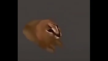 Video con título random