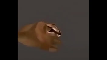 Video con título random