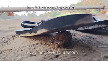 Latina Giantess Soles Crush Tiny Unaware Bugs Flip Flops Goddess Dirty Feet thumbnail