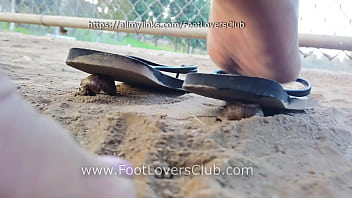 Latina giantess soles crush tiny unaware bugs flip flops goddess dirty feet Latina giantess soles crush tiny unaware bugs flip flops goddess dirty feet