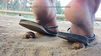 Latina giantess soles crush tiny unaware bugs flip flops goddess dirty feet