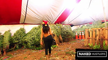 Big booty ebony jayla foxx fucking at the christmas tree lot