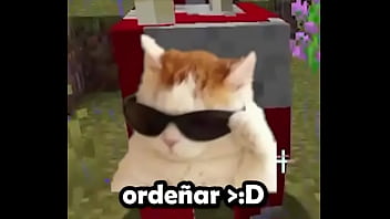 Usuario promedio de la comunidad del emi212