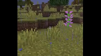 Usuario promedio de la comunidad del emi212