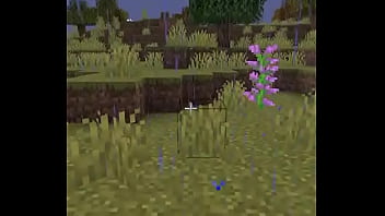 Usuario promedio de la comunidad del emi212