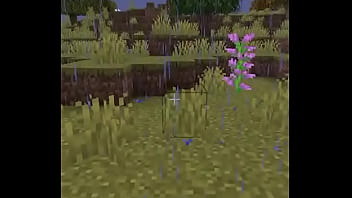 Usuario promedio de la comunidad del emi212