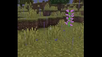 Usuario promedio de la comunidad del emi212