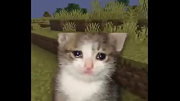 Usuario promedio de la comunidad del emi212