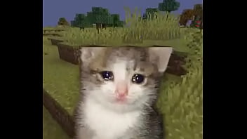 Usuario promedio de la comunidad del emi212