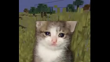 Usuario promedio de la comunidad del emi212