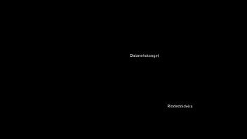 Tomando no cu vocês gostam