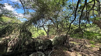 Last week i posted part 1 of my reading my erotic novel "from this night forever more " the 600 page book can be purcha