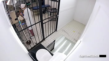 Welcome to rikers channy crossfire