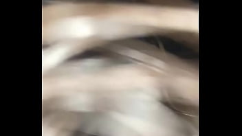 Dumb bitch calls me papi