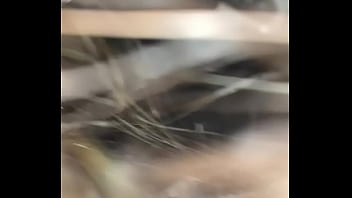 Dumb bitch calls me papi