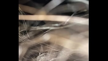 Dumb bitch calls me papi