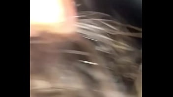 Dumb bitch calls me papi