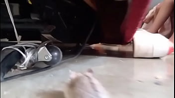 El hamster es de mi amiga en realidad