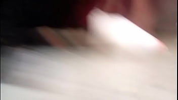 El hamster es de mi amiga en realidad