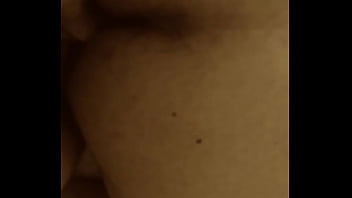 Mi Oso Activo Favorito thumbnail