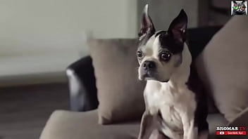 Odio cuando pasa esto en la cama 21 21 por que 21 3a 28